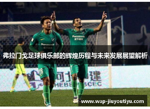 弗拉门戈足球俱乐部的辉煌历程与未来发展展望解析 弗拉门戈足球俱乐部的辉煌历程与未来发展展望解析