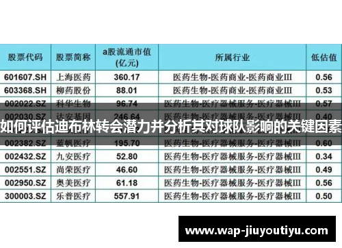 如何评估迪布林转会潜力并分析其对球队影响的关键因素