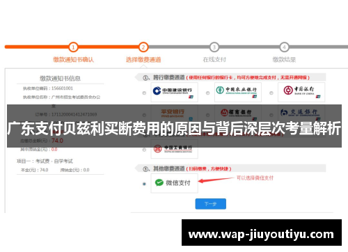 广东支付贝兹利买断费用的原因与背后深层次考量解析