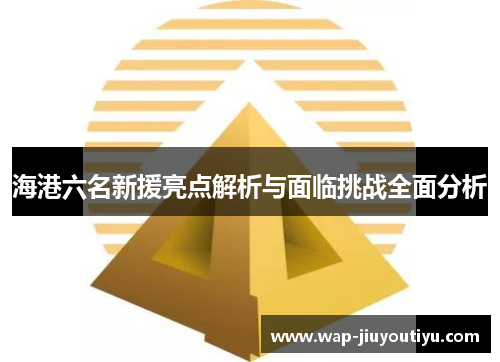 海港六名新援亮点解析与面临挑战全面分析